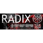 RADIX - West Coast Choppers - Tour 2014 - Banská Bystrica