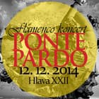 Flamenco Koncert - Ponte Pardo