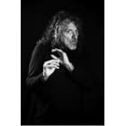 Robert Plant (Brno)