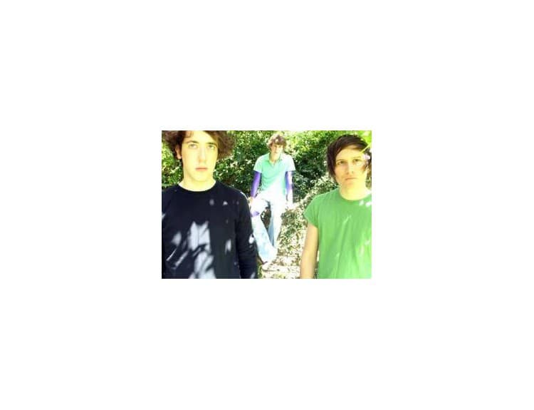 The Wombats