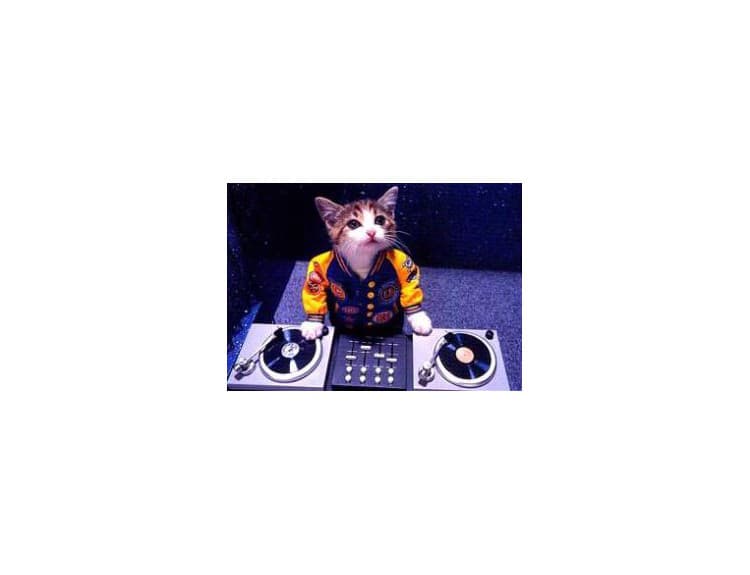 DJ Hero