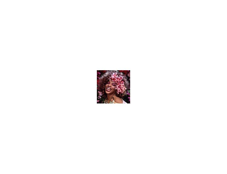 Macy Gray - I Try: The Macy Gray Collection