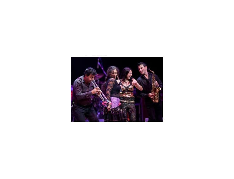 The Gypsy Queens and Kings