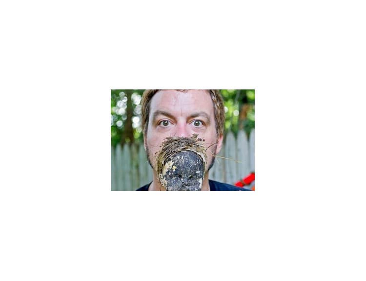 Mikey Welsh