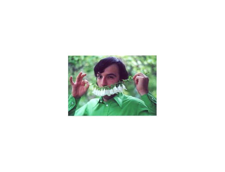 Daedelus