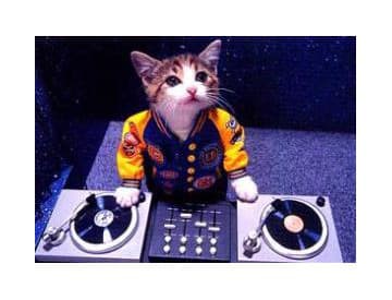 DJ Hero DJ Hero