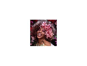 Macy Gray - I Try: The Macy Gray Collection Macy Gray - I Try: The Macy Gray Collection