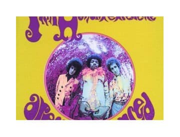 Are You Experienced? Are You Experienced?
