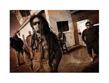 Cornerstone Roots Cornerstone Roots