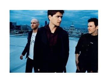 The Script