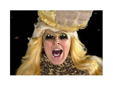 Weird Al Yankovic - Lady Gaga