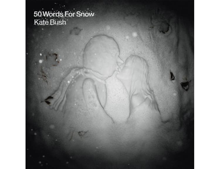 Kate Bush - 50 Words For Snow, 2011