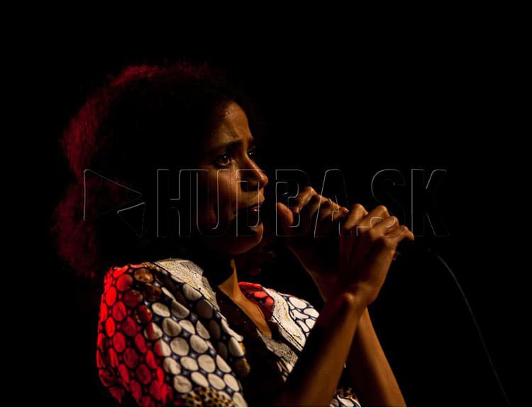 Nneka zaplnenému Ateliéru Babylon odovzdala posolstvá aj energiu