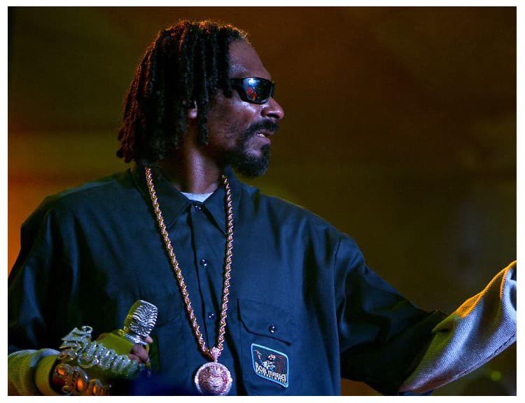 Snoop Dogg sa chce dostať do Rock'n'rollovej siene slávy. S reggae albumom