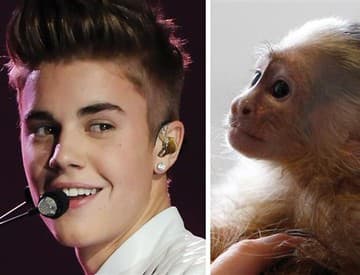 Justin Bieber prinútil lietadlo čakať osem hodín, hľadal svoju opicu
