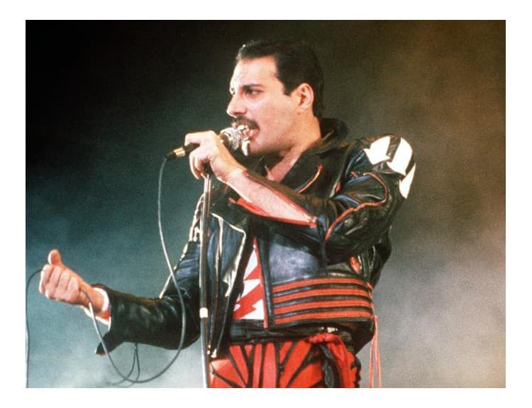 Z Borata nebude Freddie Mercury