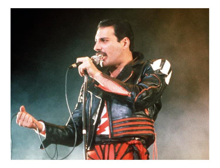 Film o Freddiem Mercurym sa zatiaľ nakrúcať nebude