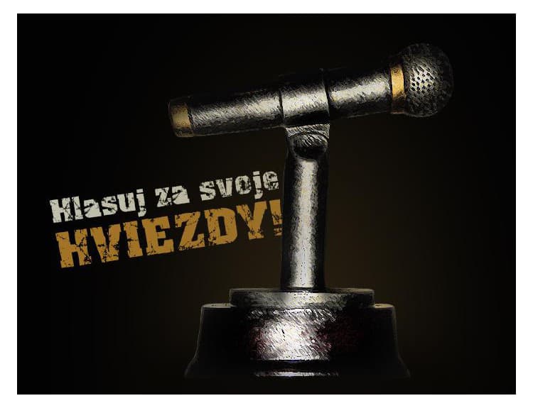 Veľká hudobná anketa 2014: Hlasuj za svoje hviezdy! 