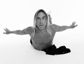 The Stooges nebudú v blízkom čase koncertovať, tvrdí Iggy Pop The Stooges nebudú v blízkom čase koncertovať, tvrdí Iggy Pop
