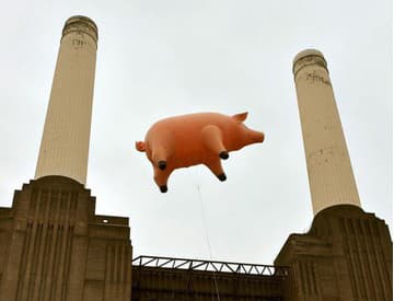 Nafukovacie prasa z obalu albumu Animals od Pink Floyd vrátia kapele Nafukovacie prasa z obalu albumu Animals od Pink Floyd vrátia kapele