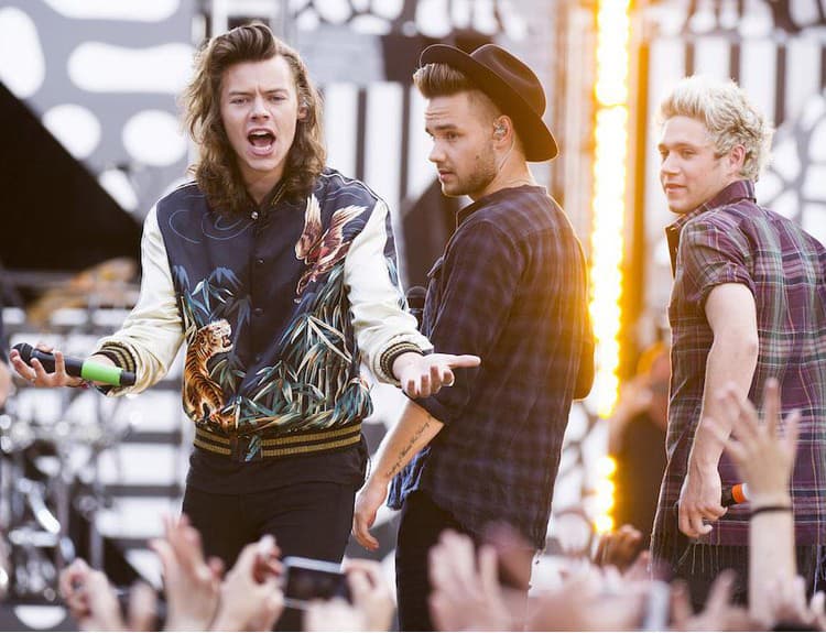 One Direction odohrali posledný koncert pred pauzou