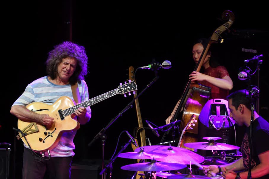 Pat Metheny na One Day Jazz Festivale, 12.5.2017