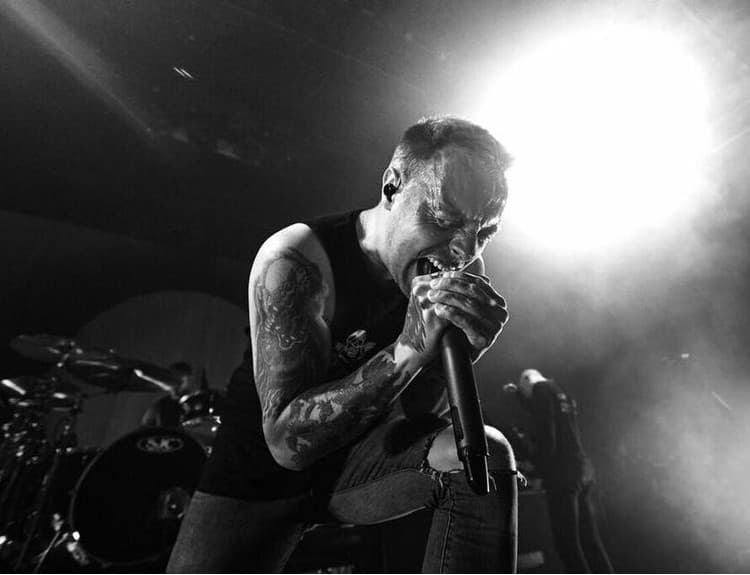 Spevák kapely Architects prerušil koncert a vynadal divákovi za obťažovanie ženy