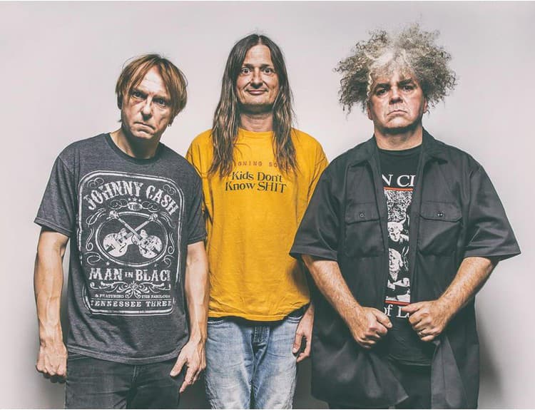 Melvins vydajú album Pinkus Abortion Technician. Ponúknu aj cover hitu Beatles
