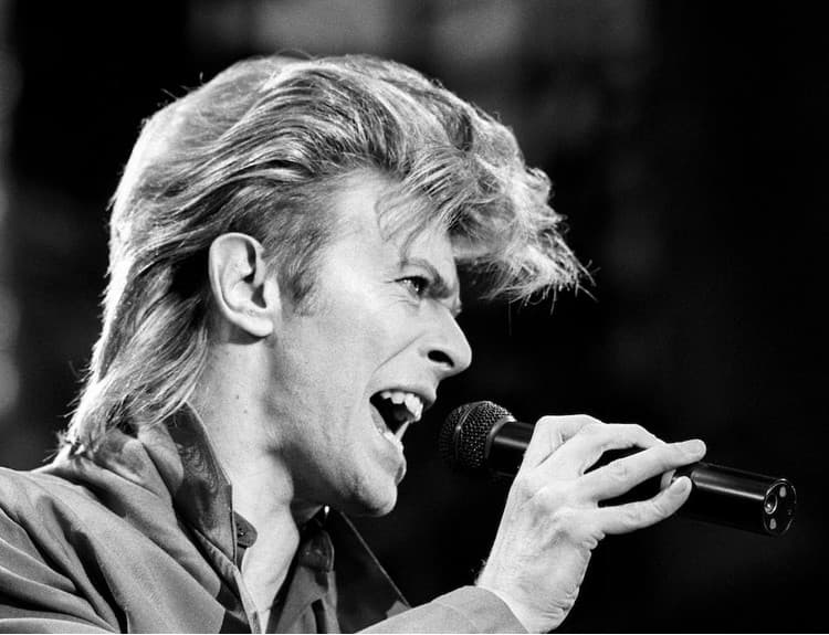 Sochu Davida Bowieho v Aylesbury krátko po jej odhalení poškodil vandal