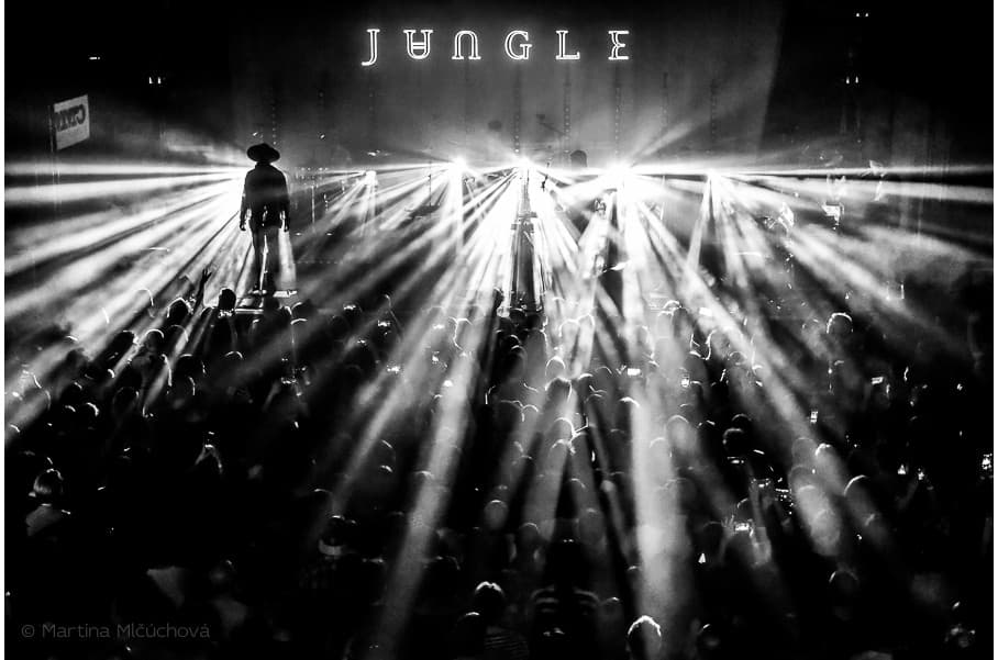 Jungle v Bratislave, MMC, 13.11.2018