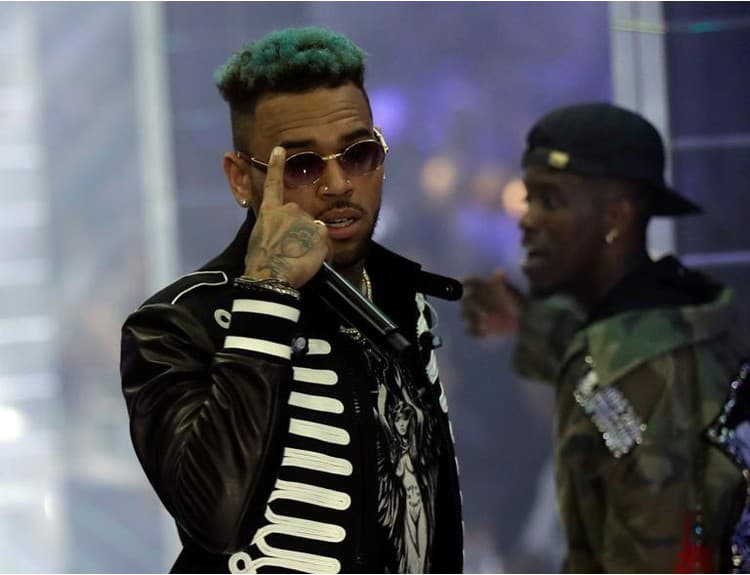 Chris Brown opäť v problémoch. Bez povolenia choval opicu, obvinili ho