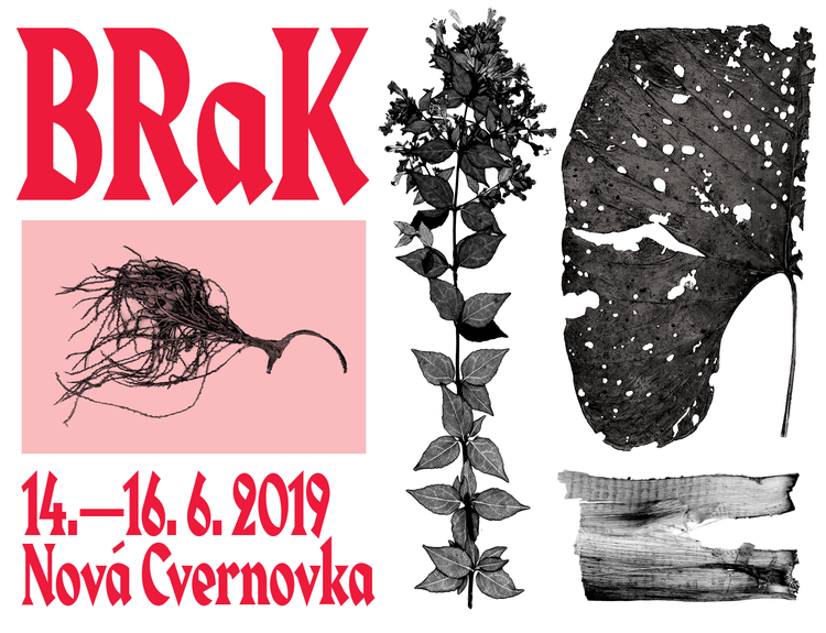 Kafka Band už vo štvrtok otvorí 6. ročník BRaKu, ktorého témou je melanchólia