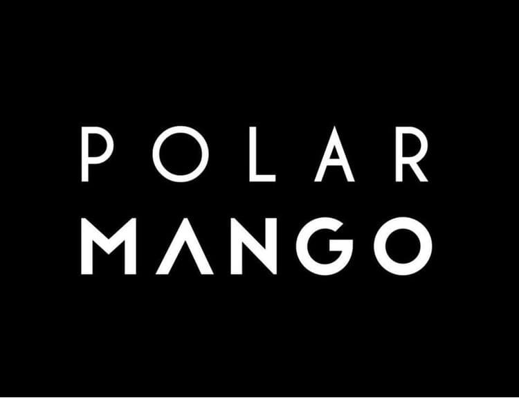 Polar Mango predstavili nový singel. Hosťuje v ňom Američan Tony McElveen