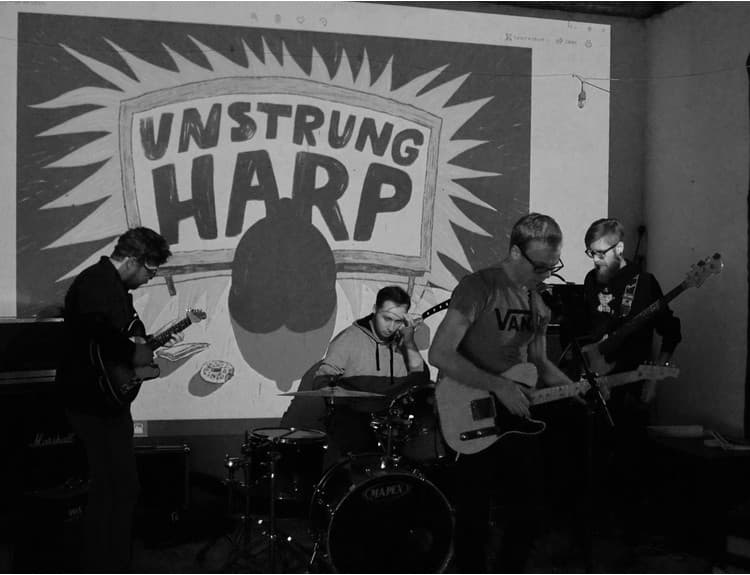 Unstrung Harp predstavujú svoju lo-fi alternatívu na debutovom albume s knihou