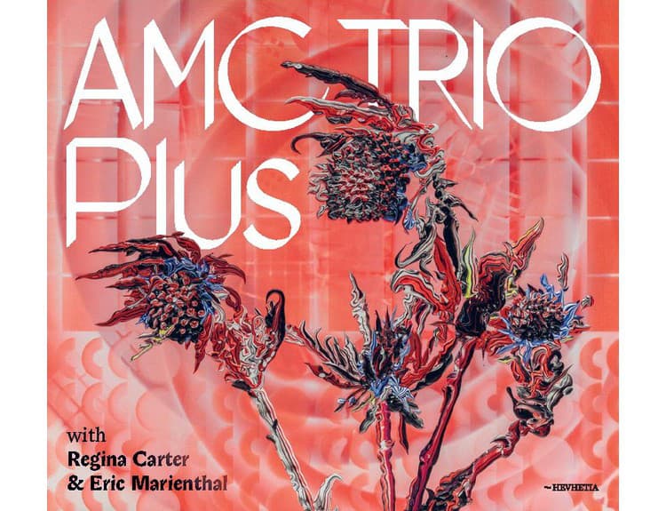 AMC Trio Plus, 2019