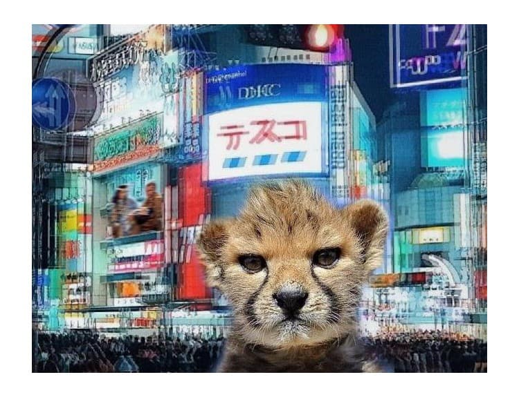 Hyperpop made in Slovakia: Miloš Bulík vydáva debutové EP Cheetahs In Danger