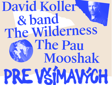 Na Koncerte pre všímavých vystúpia David Koller, The Pau aj The Wilderness