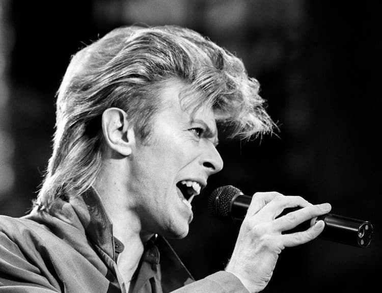 Spoločnosť Warner kúpila vydavateľské práva na celoživotné dielo Davida Bowieho