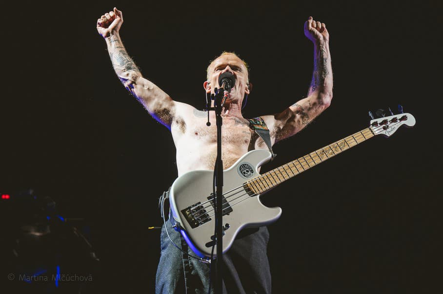 Flea, Red Hot Chili Peppers, Lovestream Festival