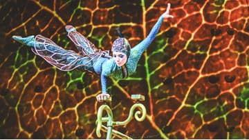 Cirque du Soleil, OVO v Bratislave, 19.10.2023