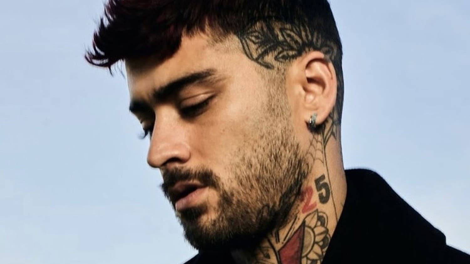 Zayn Malik Predstavuje Surovo Odhaľujúci Singel Alienated | Hudba.sk