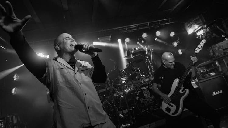 Armored Saint v Randali, 6.8.2024