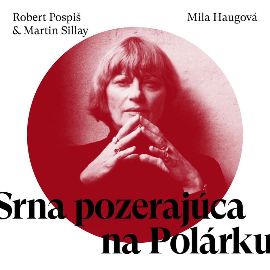 Robert Pospiš & Martin Sillay - Mila Haugová