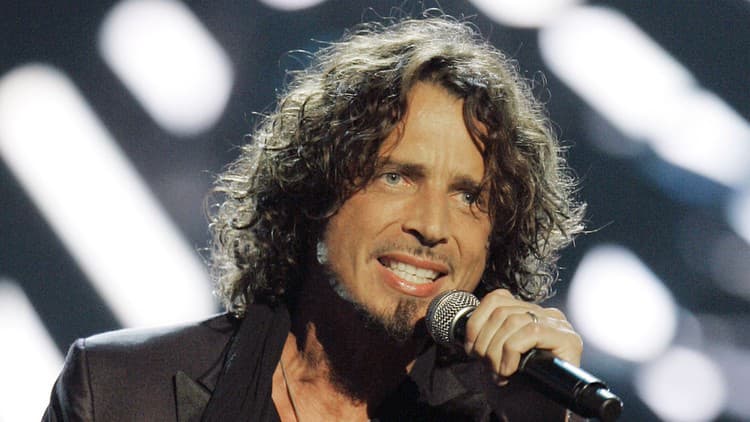 Chris Cornell a Soundgarden, 2008