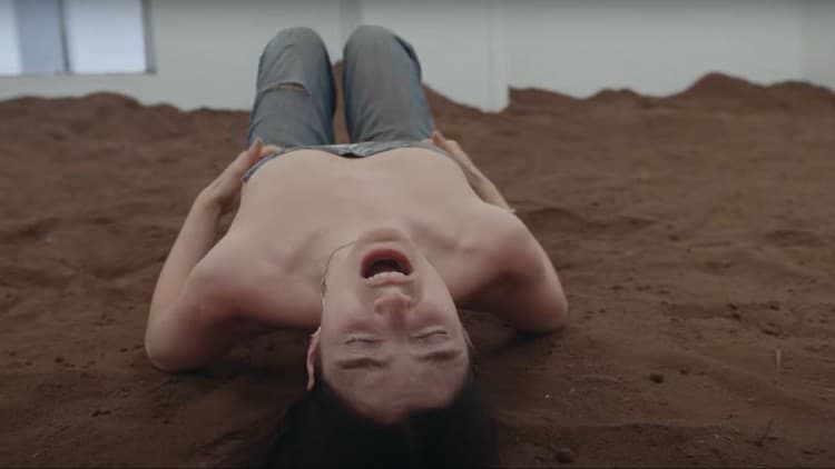 Lorde, videoklip Man Of The Year