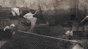 Miloš Železňák & Anna vydávajú album Ľúbostné – fragmenty ľudovej poézie v intímnej hudobnej podobe